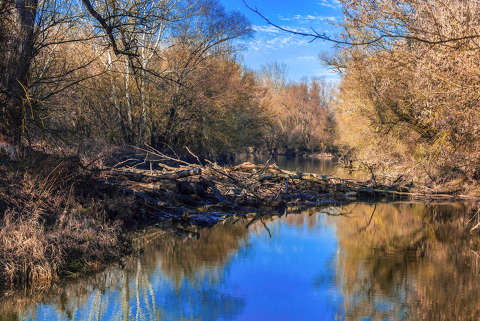 Ipoly-folyó,Letkés közelében, Fotó: Szolnoki Tibor