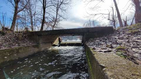 híd