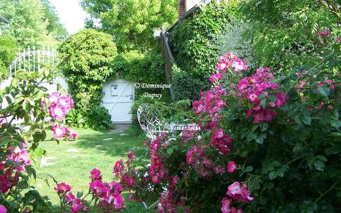 Jardin