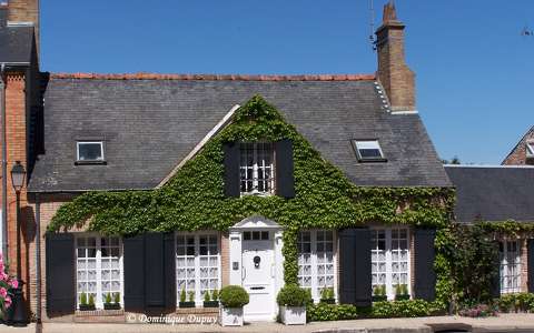 Chaumont-sur-Tharonne - Sologne - France