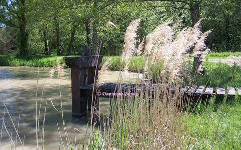 Etang de La Ferté-Beauharnais - Sologne - France