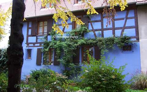 Ribeauvillé - Alsace - France