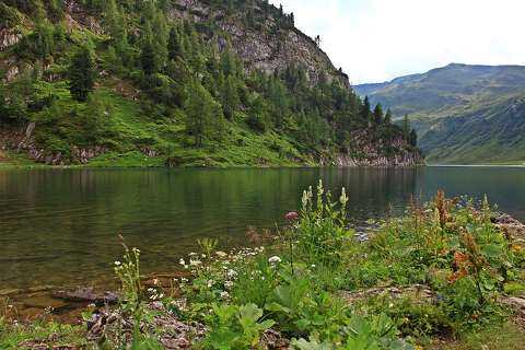 címlapfotó hegy tó vadvirág