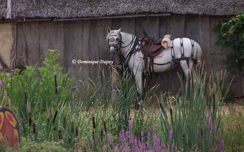 Cheval au puy du fou - France
