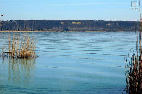 balaton, magyarország, nád, tó