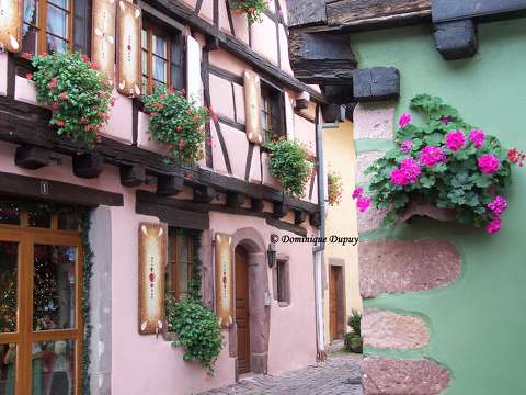 Riquewhir en Alsace - France