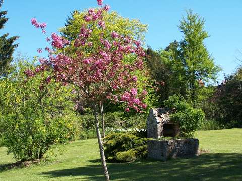 Souvigny-en-Sologne