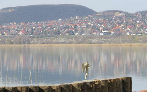 Tavaszi  tükröződés Balatonfűzfőn.
