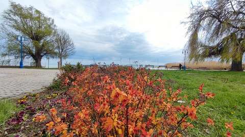 balaton magyarország tó