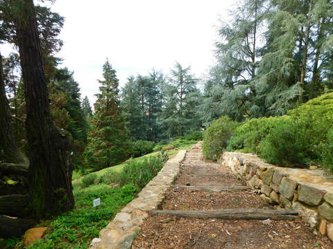Folly Arborétum - Badacsonyörs
