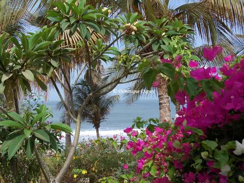 Plage de Cap Skirring - Sénégal