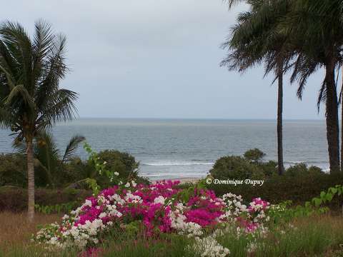 Plage de Cap Skirring - Sénégal