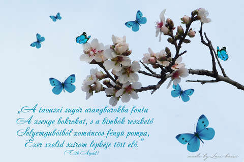 tavaszi grafika