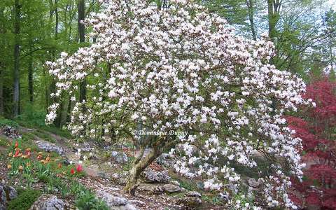 Printemps