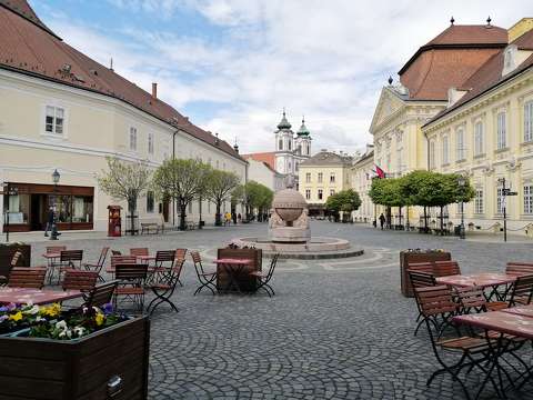 Székesfehérvár, Országalma