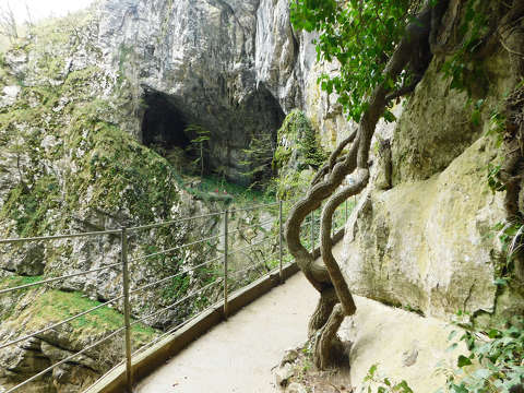 Škocjan-barlangrendszerben, Szlovénia