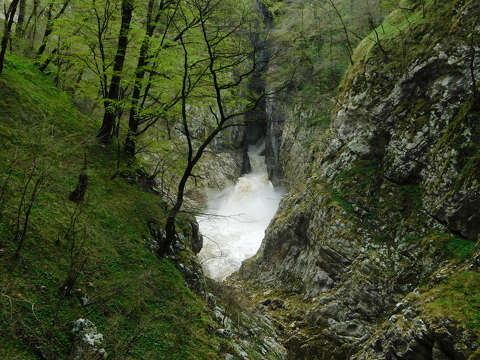 Škocjan-barlangrendszer folyója (Reka), Szlovénia