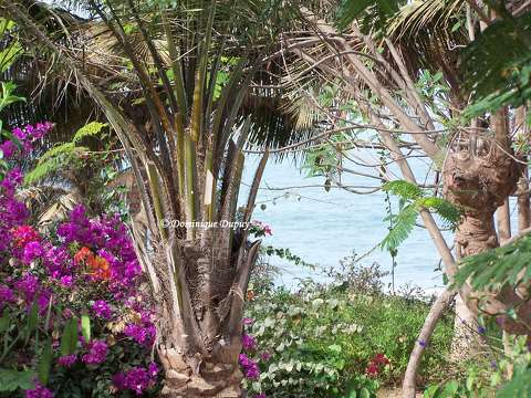 Plage de Cap Skirring - Sénégal
