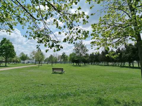 kertek és parkok pad tavasz