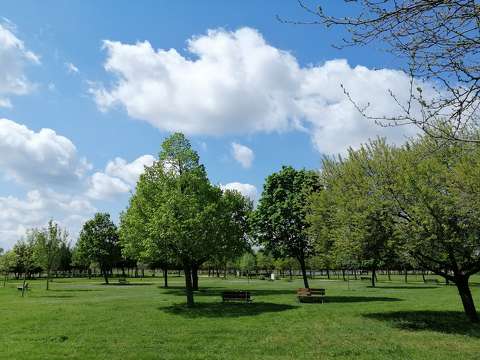 kertek és parkok