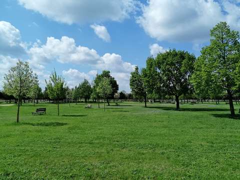 kertek és parkok pad tavasz