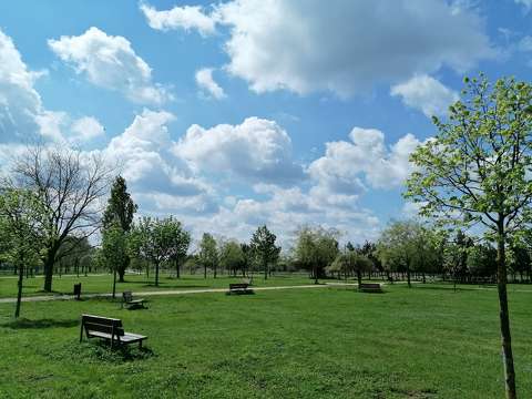 címlapfotó kertek és parkok pad tavasz