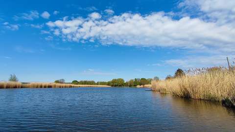 Holt Tisza