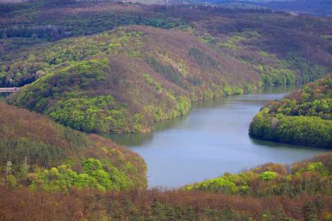 Lázbérci tó, tavasz, erdő, kilátás