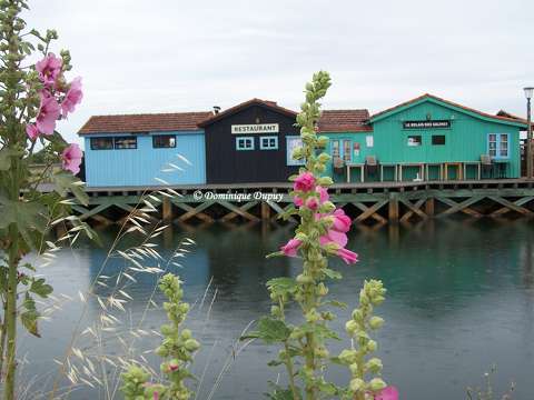 Petit Village - Port des Salines - L'île d'Oléron -France