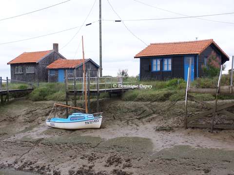 La Tremblade en Charente-Maritime - France