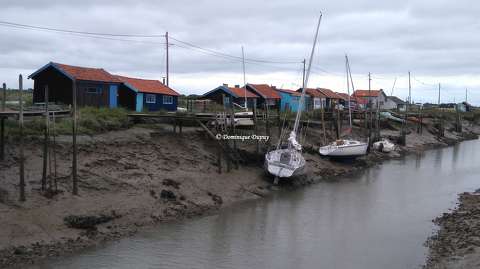 La Tremblade en Charente-Maritime - France