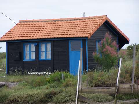 Cabane ostréicole - La Tremblade - France