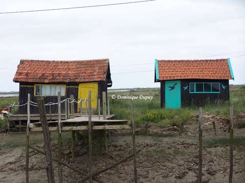 Cabane ostréicole - La Tremblade - France