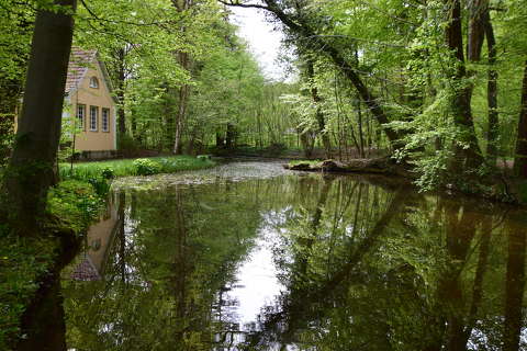 erdő ház tavasz tó