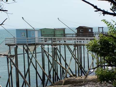 Saint-Palais-sur-Mer - Cabanes à carrelet - France