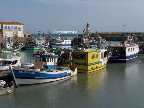 L'île d'Oléron - Port de La Cotinière - France