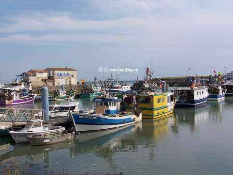 L'île d'Oléron - Port de La Cotinière - France