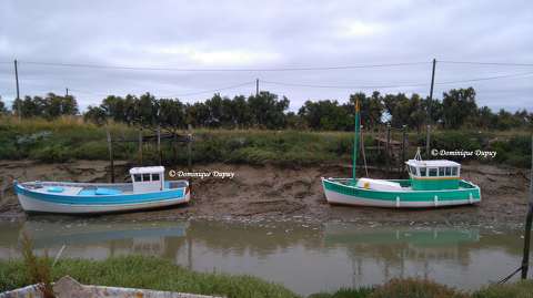Marennes - France