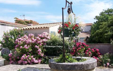 Puits à Saint-Georges-d'Oléron - France