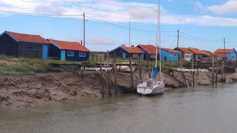 La Tremblade en Charente-Maritime - France
