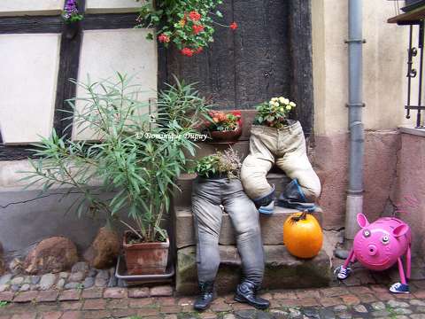 Eguisheim - Alsace- France