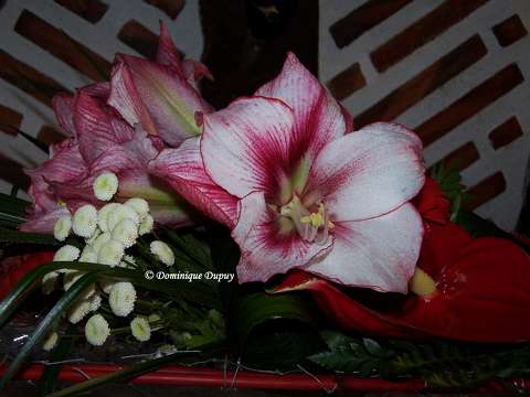 Bouquet de Fleurs