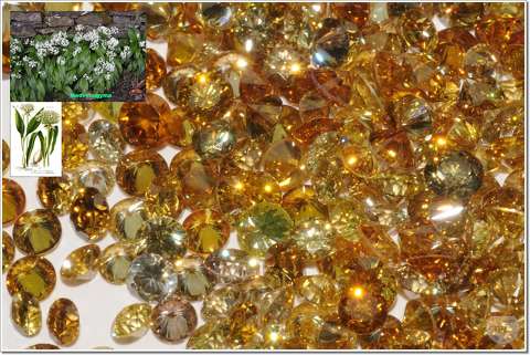 Beautiful cristal