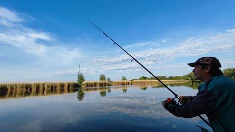 folyó horgászat tisza tükröződés