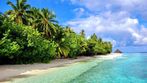Maldív-szigetek - Vilamendhoo