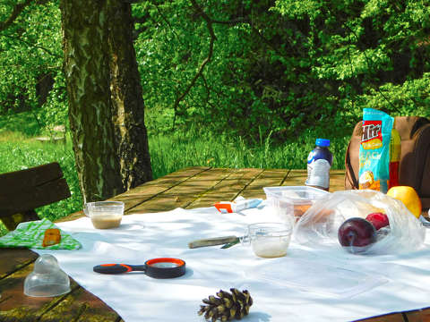 Csendélet, piknik a Jeli arborétumban - Kám