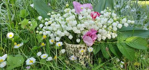 Muguet