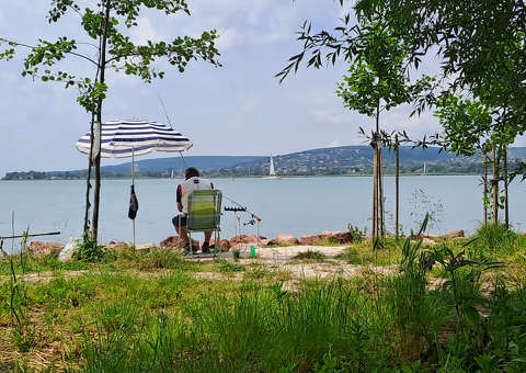 A csíkos napernyő - Balatonfűzfő