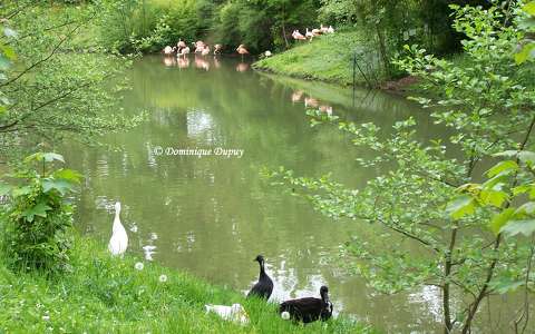 Etang