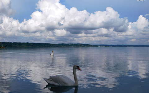 felhő, balaton, hattyú